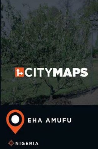 Cover of City Maps Eha Amufu Nigeria