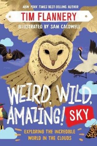 Cover of Weird, Wild, Amazing! Sky