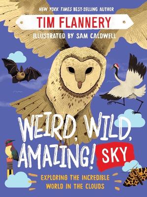 Book cover for Weird, Wild, Amazing! Sky