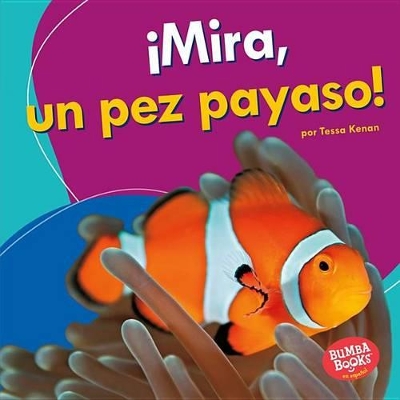 Book cover for Mira, Un Pez Payaso!