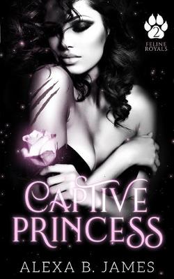 Book cover for Captive Princess
