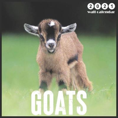 Book cover for Goats 2021 Wall Calendar