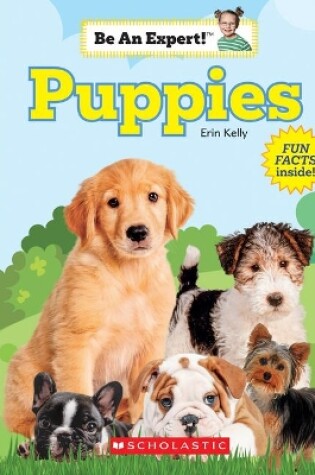 Cover of Puppies (Be an Expert!)