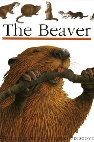 Cover of The Beaver