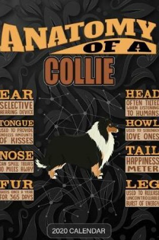 Cover of Anatomy Of A Collie