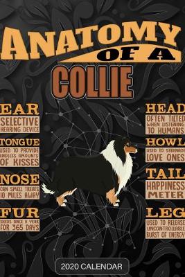 Book cover for Anatomy Of A Collie