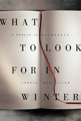 Book cover for What to Look for in Winter