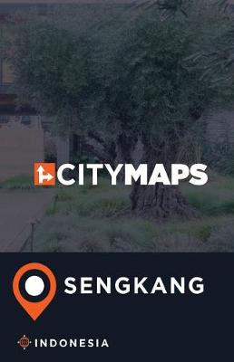 Book cover for City Maps Sengkang Indonesia