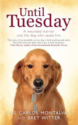 Book cover for Until Tuesday