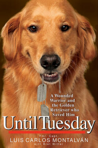 Cover of Until Tuesday
