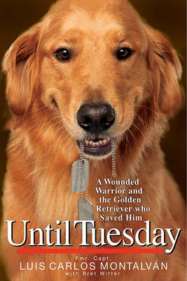 Book cover for Until Tuesday