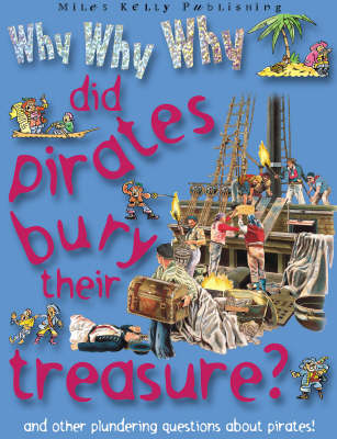 Book cover for Why Why Why Did Pirates Bury Their Treasure?