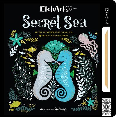 Cover of Etchart: Secret Sea