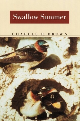 Cover of Swallow Summer