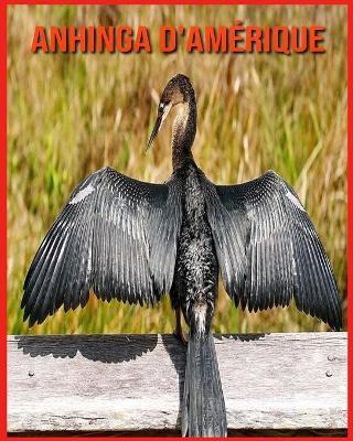 Book cover for Anhinga d'Amérique