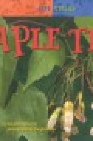 Cover of Maple Tree