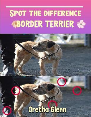 Book cover for Spot the difference Border Terrier