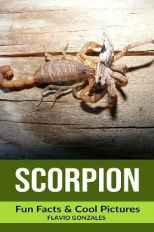 Cover of Scorpion