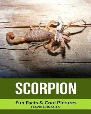 Book cover for Scorpion