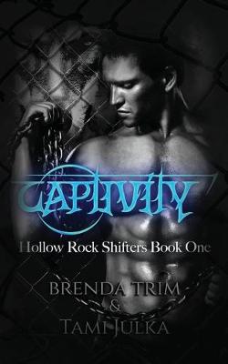 Book cover for Captivity