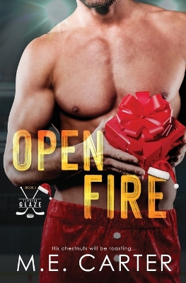 Book cover for Open Fire