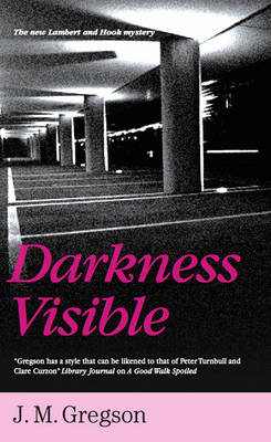 Book cover for Darkness Visible