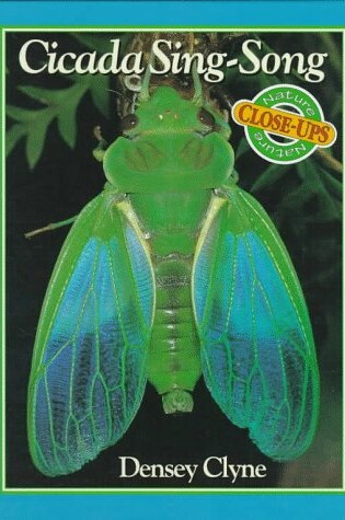 Cover of Cicada Sing-song