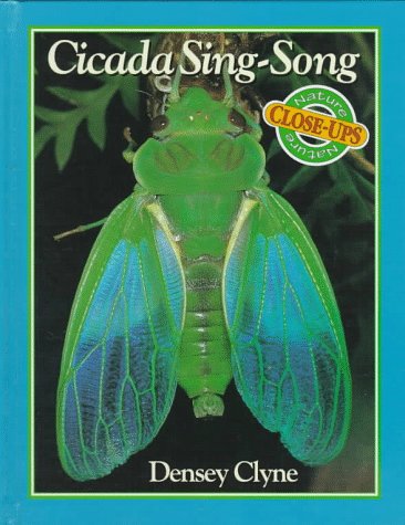 Cover of Cicada Sing-song