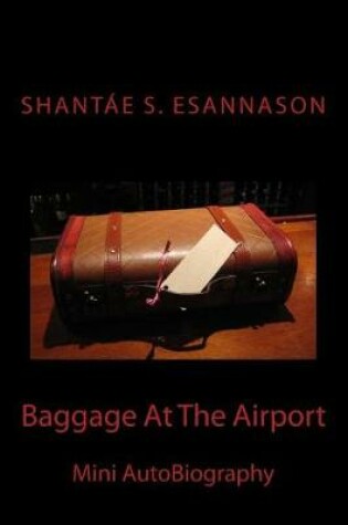 Cover of Baggage At The Airport