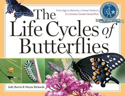 Book cover for The Life Cycles of Butterflies