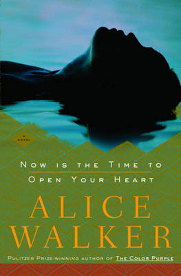 Book cover for Now Is the Time to Open Your Heart