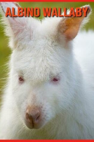 Cover of Albino Wallaby