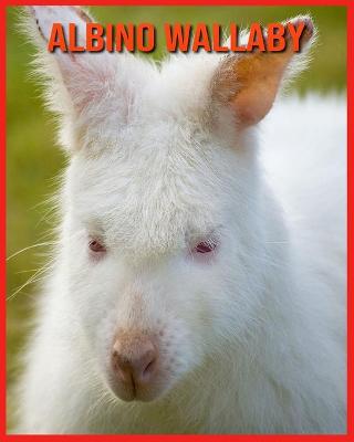 Book cover for Albino Wallaby