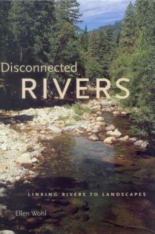 Cover of Disconnected Rivers