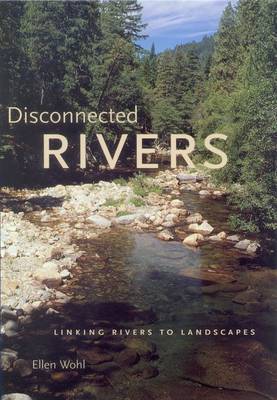 Book cover for Disconnected Rivers