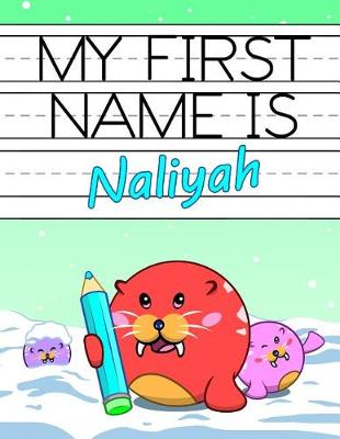 Book cover for My First Name Is Naliyah