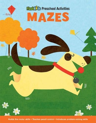 Book cover for Mazes