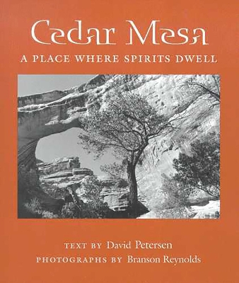 Book cover for Cedar Mesa
