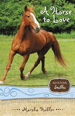 Book cover for A Horse to Love