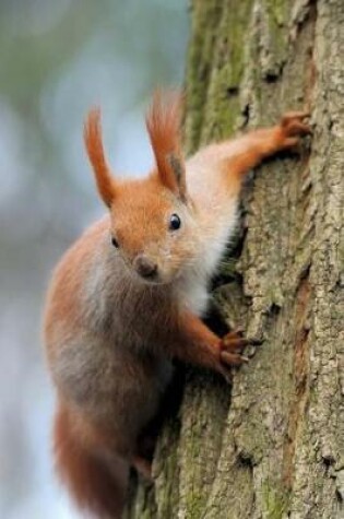 Cover of An Adorable Red Squirrel on a Tree Journal