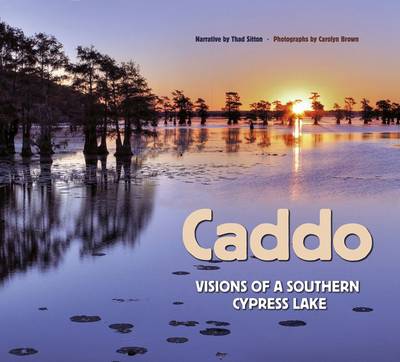 Book cover for Caddo