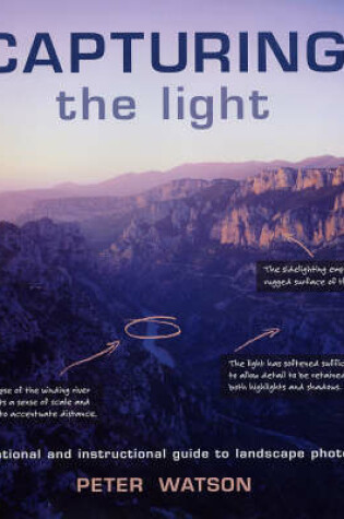 Cover of Capturing the Light