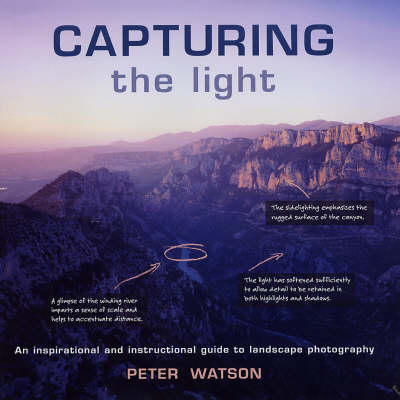 Book cover for Capturing the Light