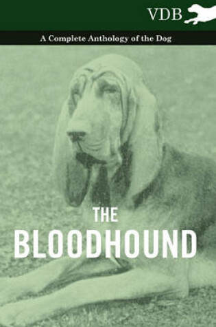 Cover of The Bloodhound - A Complete Anthology of the Dog -