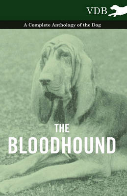 Book cover for The Bloodhound - A Complete Anthology of the Dog -