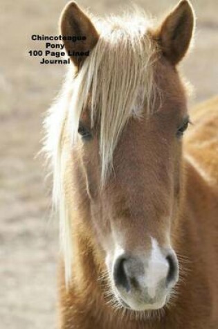 Cover of Chincoteague Pony 100 Page Lined Journal