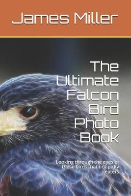 Book cover for The Ultimate Falcon Bird Photo Book