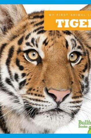 Cover of Tigers