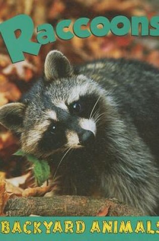 Cover of Raccoons