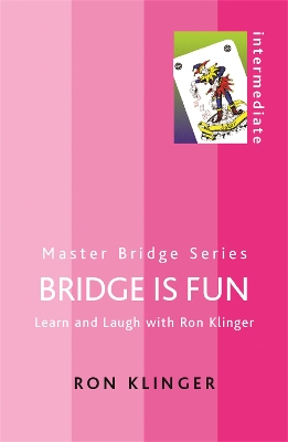 Book cover for Bridge is Fun
